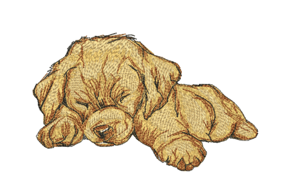 Sleeping Puppy